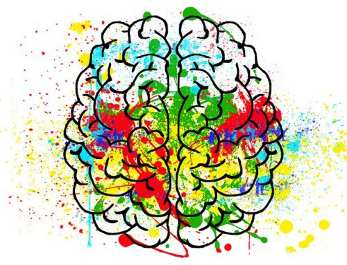 Data Driven Brain Shape Analysis Framework and Explainable AI | Prieto | $66,691