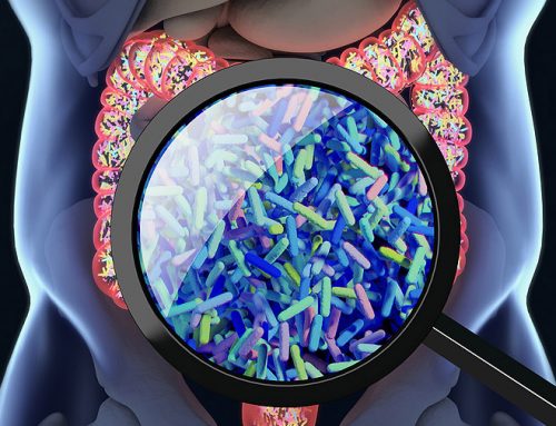 Microbiome and Methylation (M&M): A Source of Information for Precision Medicine | Kimmel | $42,000