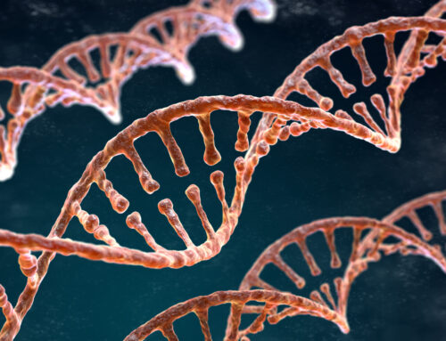 Modeling Genetic Risk for Schizophrenia | Dr. Robert Mealer | $60,000